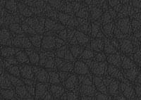 Faux Leather Ink Border 5520 Swatch thumb