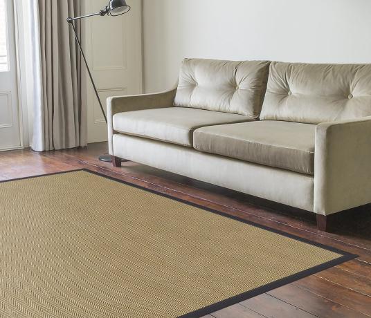 Leigh Sisal Rug in Living Room