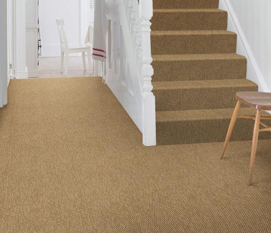 Anywhere Panama Caramel Carpet 8027 on Stairs