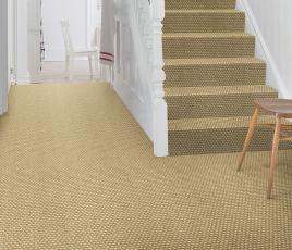 Sisal Metallics Plutonium Carpet 2572 on Stairs thumb