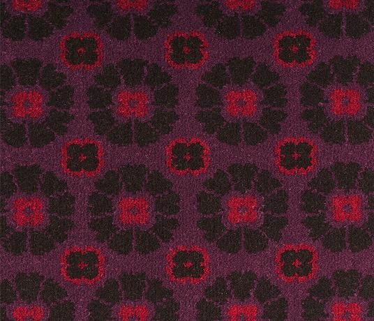 Quirky Ashley Hicks Daisy Cosmos Carpet 7262 Swatch