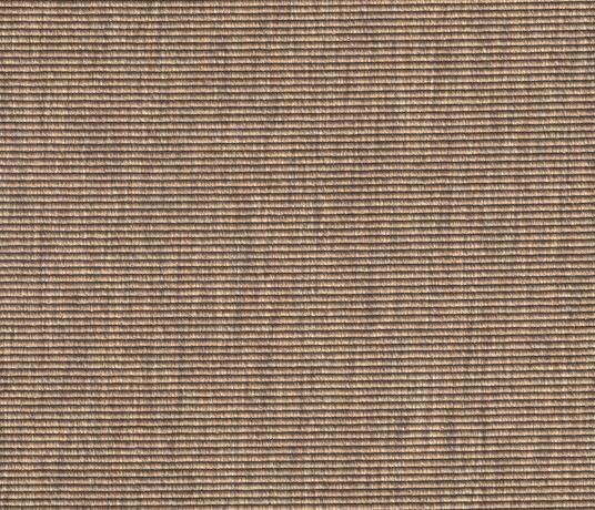 Anywhere Bouclé Syrup Carpet 8009 Swatch