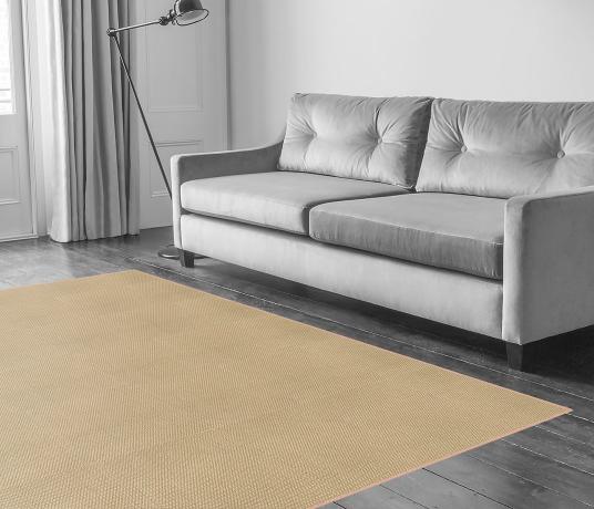 Sisal Panama Penwood Carpet 2502 in Living Room