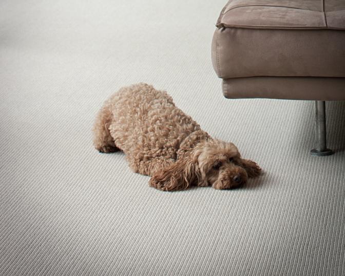 Warranty Registration