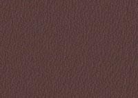 Leather Chocolate Border 4010 Swatch thumb