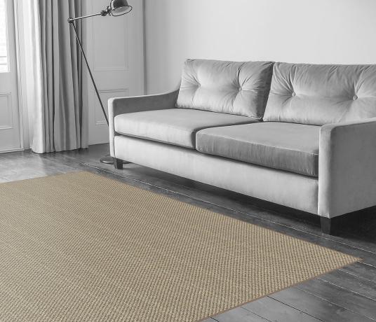 Sisal Malay Canton Carpet 2549 in Living Room