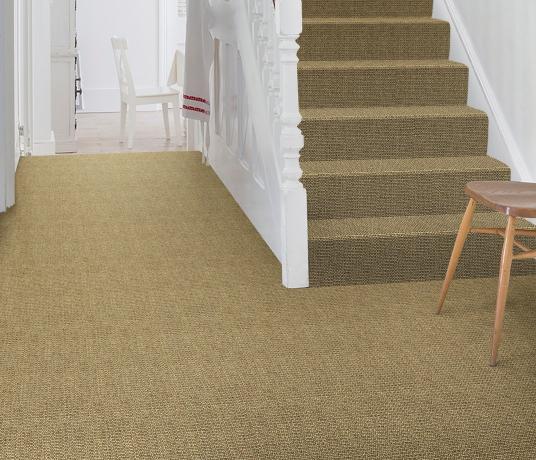 Sisal Super Bouclé Bodmin Carpet 1309 on Stairs