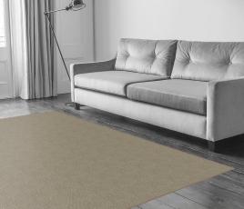 Sisal Bouclé Braishfield Carpet 1242 in Living Room thumb