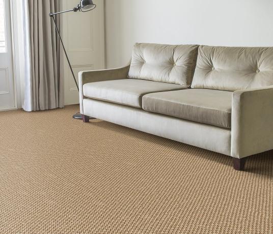 Sisal Bubbleweave Desert Bubble Carpet 2557 in Living Room