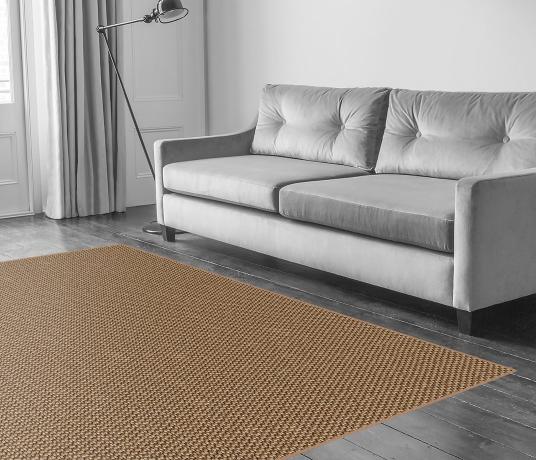 Sisal Bubbleweave Honey Bubble Carpet 2556 in Living Room