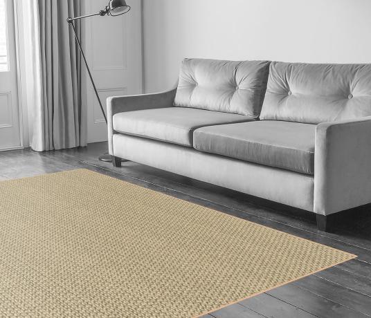 Sisal Kayal Neyyar Carpet 2608 in Living Room