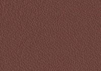 Leather Chestnut Border 4007 Swatch thumb