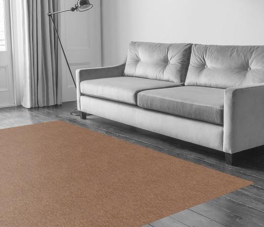Anywhere Panama Copper Carpet 8021 in Living Room