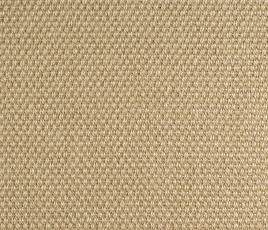 Sisal Panama Penwood Carpet 2502 Swatch thumb