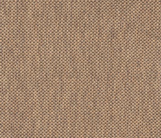 Anywhere Panama Syrup Carpet 8029 Swatch