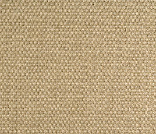 Sisal Panama Penwood Carpet 2502 Swatch