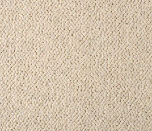 Wool Knot Snuggle Carpet 1870 Swatch